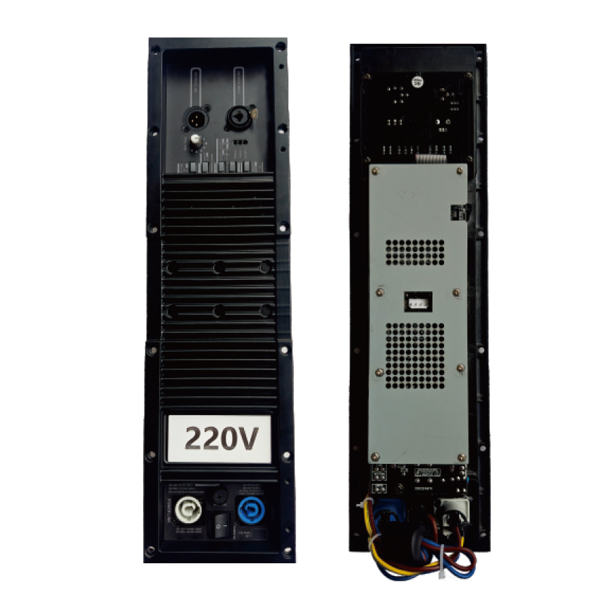 SY-20A DSP Class D Amplifier Module